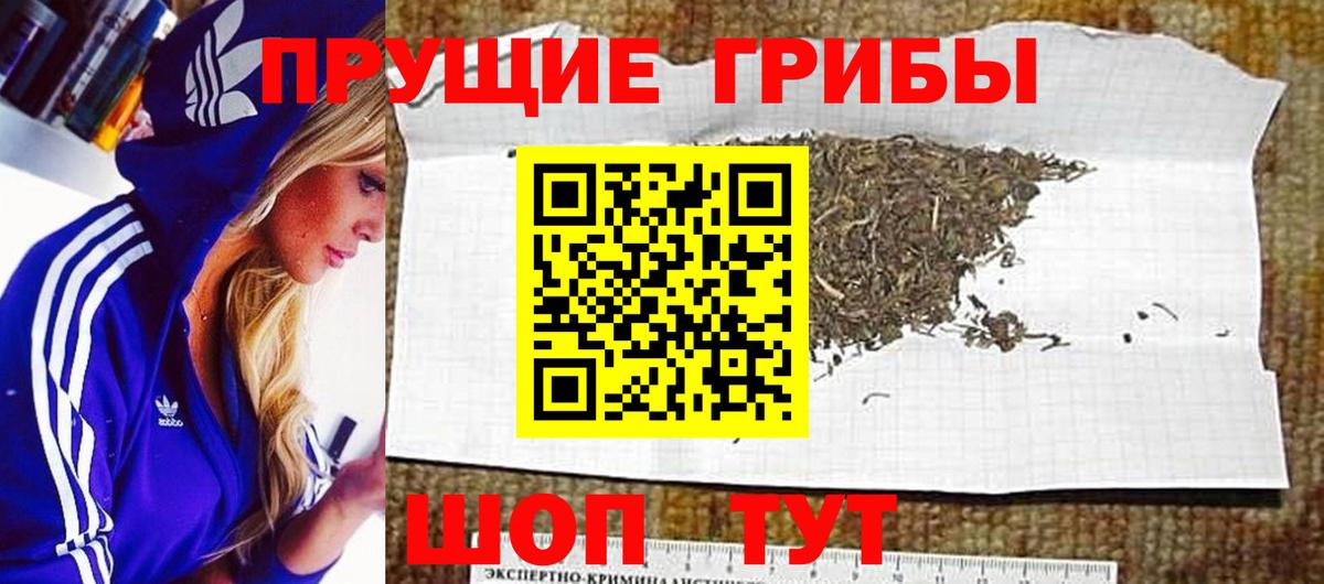 Наро-Фоминск  Галлюциногенные грибы MAGIC MUSHROOMS  Вход с VPN  Галлюциногенные грибы MAGIC MUSHROOMS 